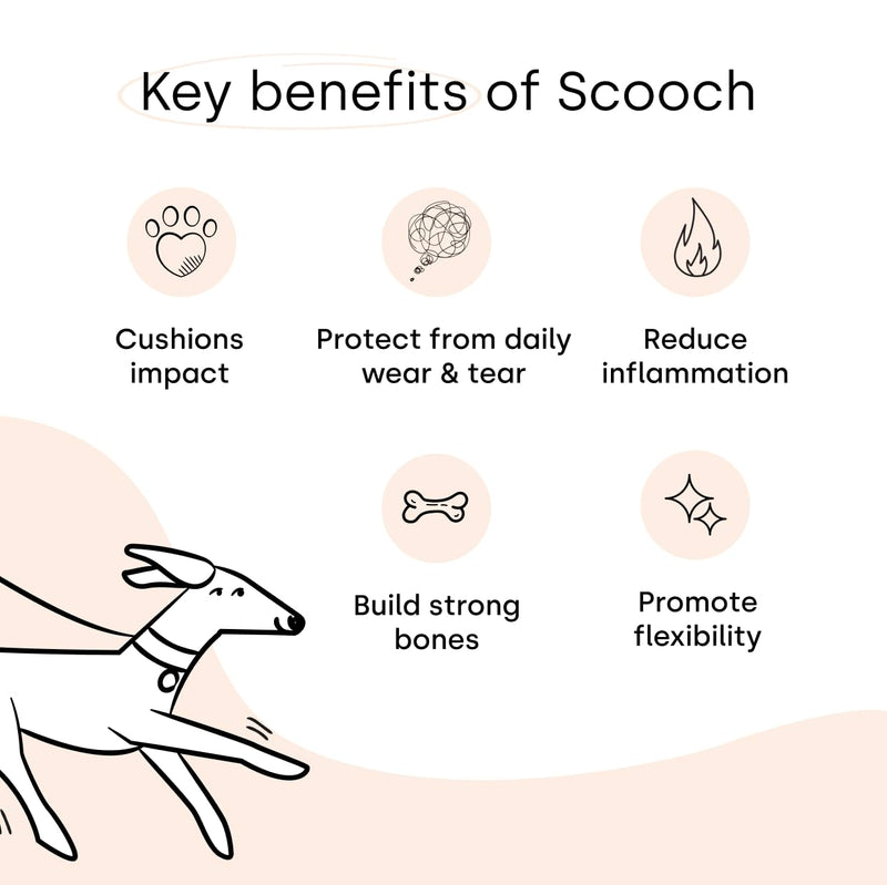 Scooch Joint & Mobility Chews for Dogs with Glucosamine, Chondroitin & MSM | Tasty Chew They Actually Eat, No Fishy Smell | Supports Stiff Hips & Mobility in Senior & Large Breeds | 60 Soft Chews