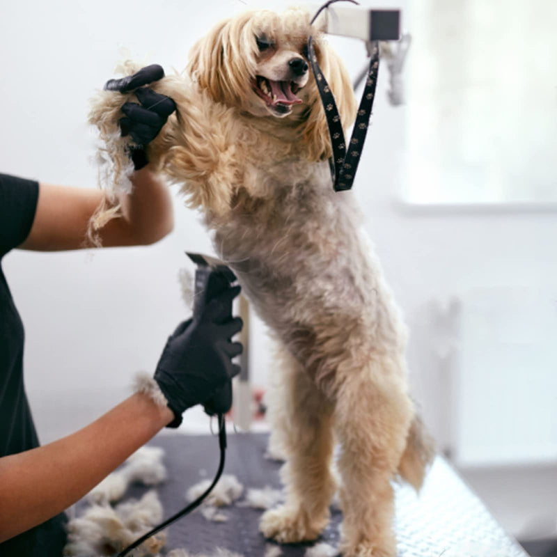 5FC Blade Dog Grooming Clipper Replacement Blades compatible with Andis Dog Clippers,Detachable Ceramic Blade & Stainless Steel Blade,Size-5 FC 1/4-Inch Cut Length (64122) 5fc:1/4''(6.3mm) - BeesActive Australia