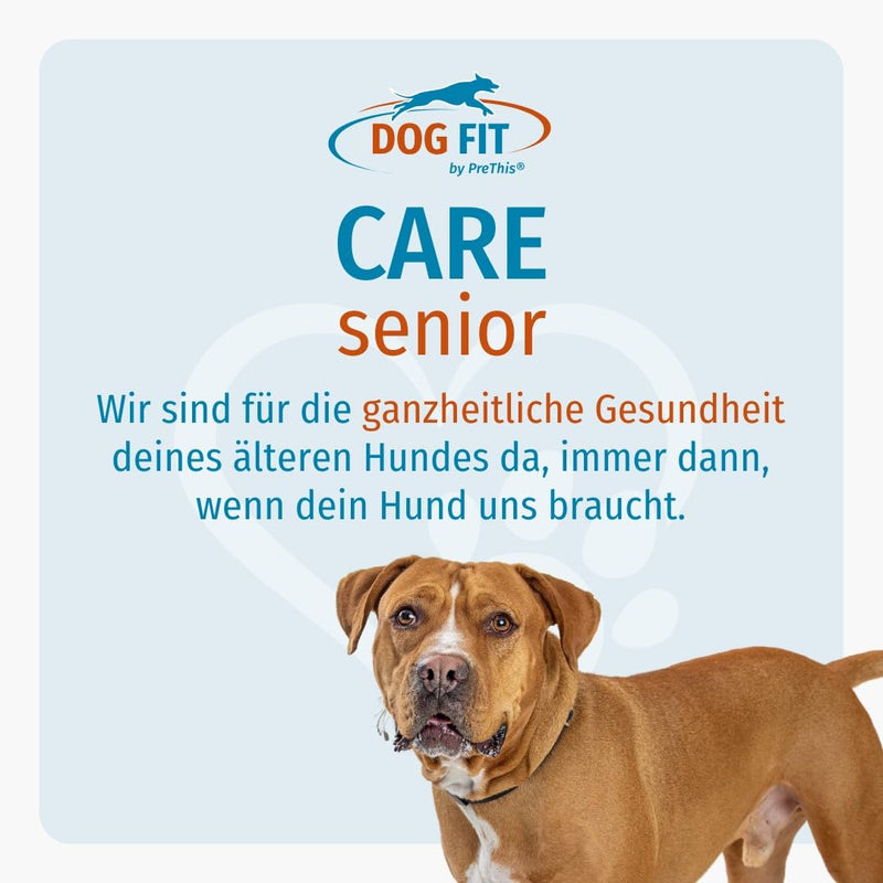 DOG FIT by PreThis® Care Senior I Nutrients for older dogs Plus joint and vertebral protection I Food supplement free of additives I Large large (for 25kg and over) - BeesActive Australia