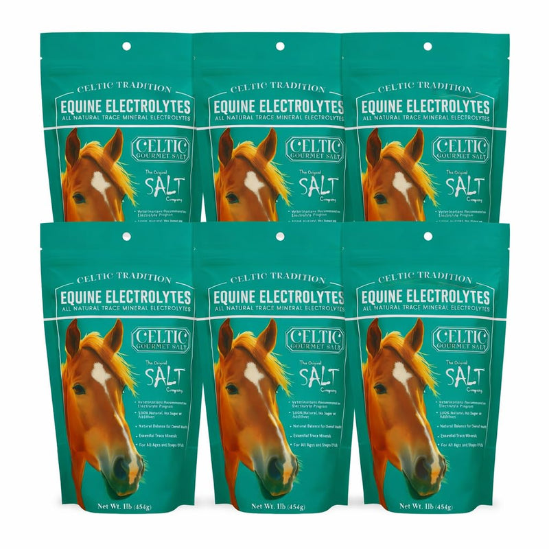 Celtic Tradition Equine Electrolytes – Natural Mineral Salt Supplement for Horses | Replenishes Electrolytes, Supports Hydration & Recovery | 1 lb Resealable Bag