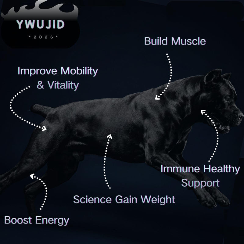 Muscle Gain Chews Dog Weight Gainer Supplements with High Protein & Canine Amino Acids Puppy Vitamins Canine Muscle Builder Formula for Bully & All Breeds Puppies & Adult & Senior Dogs-100