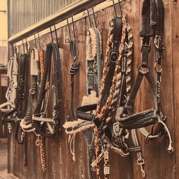 6Pcs 8 Inch Tack Hook,Heavy Duty Over Rail Bridle Hooks Horse Stall Hooks for Horse Tack Room,Stable,Barn,Trailer - BeesActive Australia