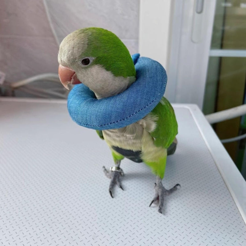 Parrot Neck Collar Pet Anti-bite Picking Feather Healing Protective Neck Cover Collar for Birds Conures Cockatiels Lovebirds Budgies Cockatoos African Grey Random Color (M) M