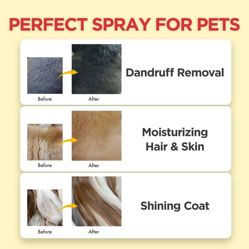 JAYU PET White Essence Mist - Dog Itch Relief, Hypoallergenic Soothing Spray, Dandruff & Dry Skin Spray (170ml, 5.8fl oz) Dandruff & Itch Relieving - PawsPlanet Australia