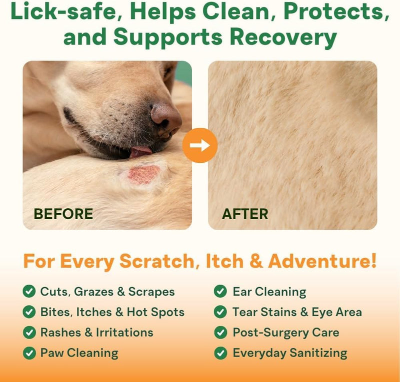 Sting-Free Wound & Skin Care Spray for Dogs, Cats & Pets | Vet-Grade Repair Mist for Cuts, Hot Spots, Rashes, Burns & Itch Relief | Non-Toxic, No Alcohol, Lick-Safe, No Residue (8 fl oz) 8 Oz