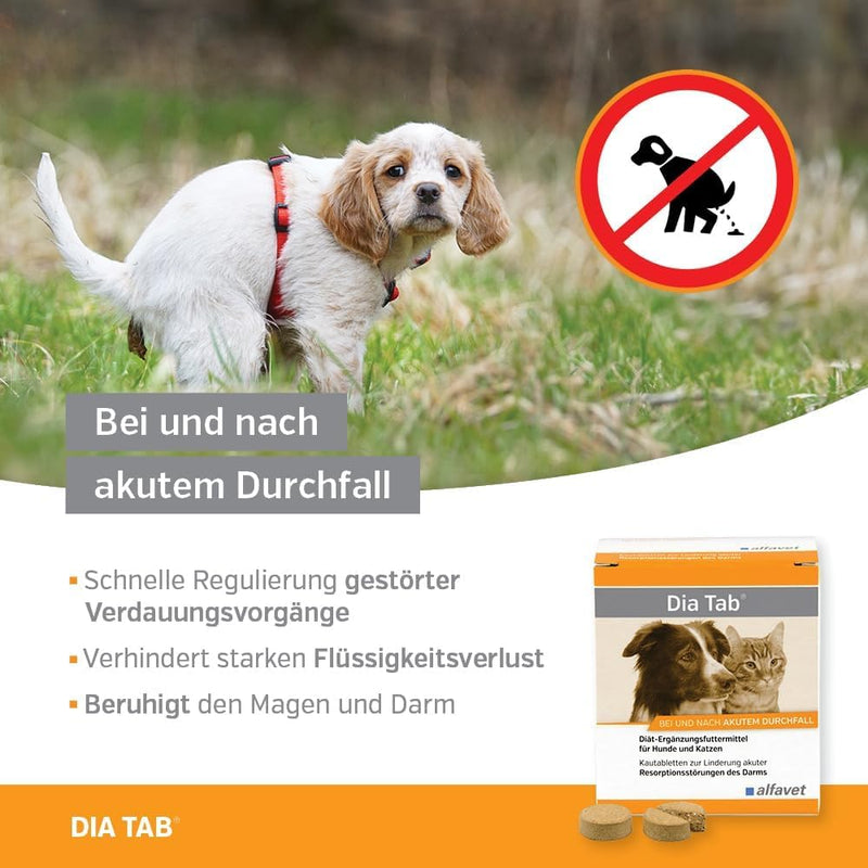 DIA TAB chewable tablets for dogs/cats 6X5.5 g - BeesActive Australia