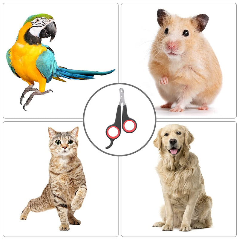 Parrot nail clippers, cat nail clippers, pet professional claw scissors, pet small animals, claw cutters, cat nail clippers, cat nail cutters, guinea pigs, birds, puppies, kittens, gerbils, rabbits - BeesActive Australia