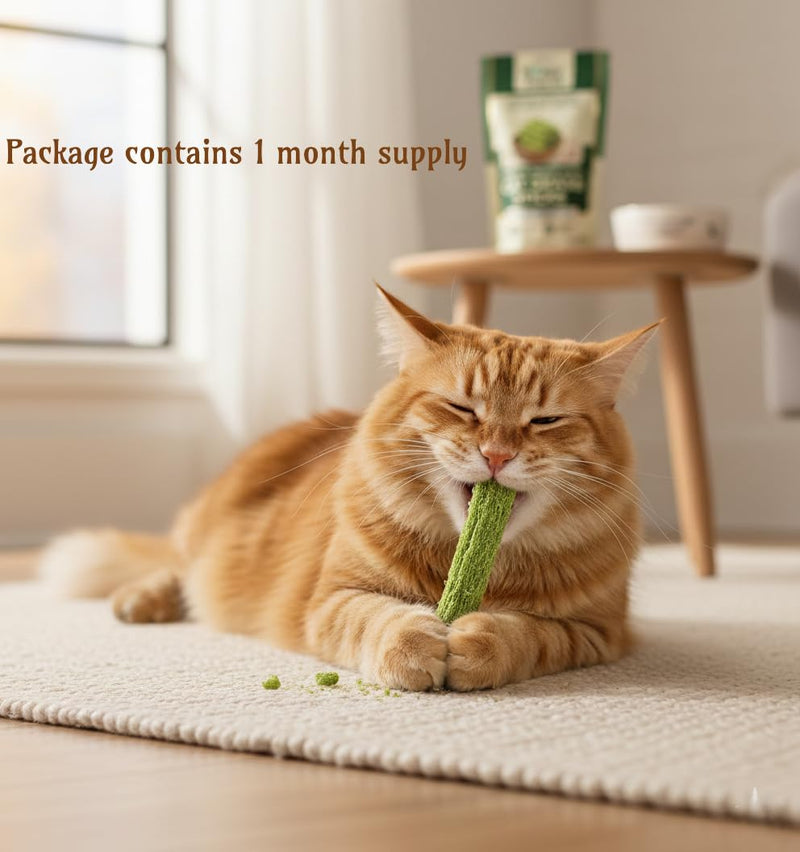 Happy Tracks Cat Grass Sticks for Cats — Freeze-Dried Chicken & Barley Grass | High Protein Grain-Free Cat Snack | Hairball Control & Dental Support | 3.53oz / 20 Sticks