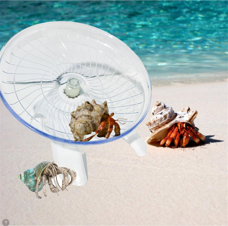 Funny Hermit Crab Running Wheel Climb Toy, Hamster Reptiles Running Flying Wheel Saucer, Cute Running Wheel for Guinea Pig Small Pet Animals Tree Frog Hamster Lizard Salamander Hermit Crab (White) White - BeesActive Australia