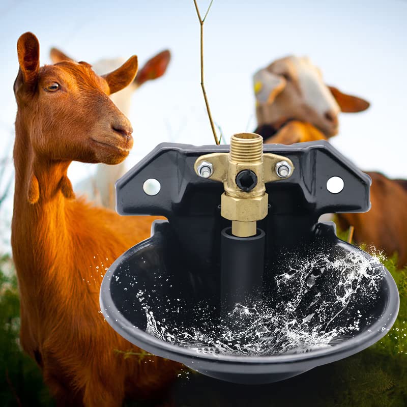 Metal Sheep Automatic Water Drinking Bowl, Thickened Steel Automatic Goat Waterer Fountain with Copper Valve Touch Switch,Farm Water Drinking Equipment BLACK - BeesActive Australia