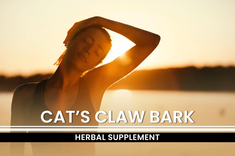 Pure Original Ingredients Cat's Claw Bark (365 Capsules) No Magnesium Or Rice Fillers, Always Pure, Lab Verified 1 Count (Pack of 365)