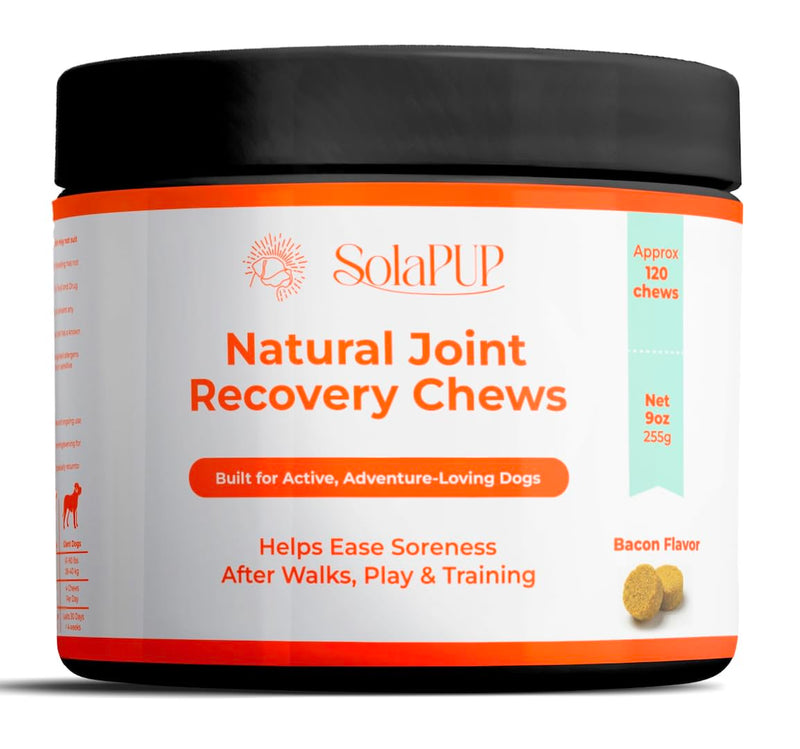 SolaPup® Hip & Joint Chews for Dogs | 120 Soft Mobility & Recovery Chews for Active Dogs | Glucosamine, Chondroitin, Turmeric & Green Lipped Mussel | Bacon Flavor | Made in USA | Gluten & Chicken Free