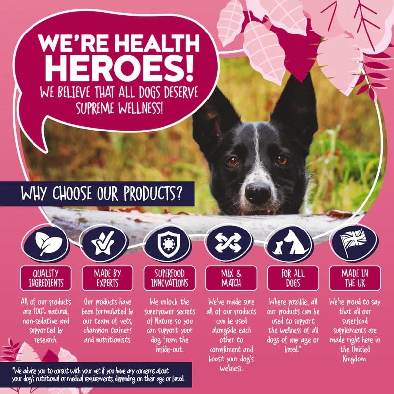 Probio-K9 Digestive Supplement + Probiotic Paste for Dogs | Daily Gut Health, Digestive & Tummy Support | Probiotics, Prebiotics & Stool Forming Fibres | Upset Stomach & Firm Stool Support | UK Short