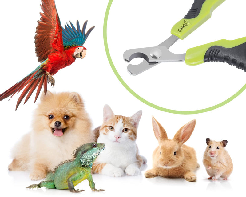 pecute Cat Claw Scissors, Cat Scissors Great for Beginners, Cat Nail Cutter Stainless Steel, Cat Nail Scissors Light, Claw Care for Puppies Cats Rabbits Small Animals (Green) - BeesActive Australia