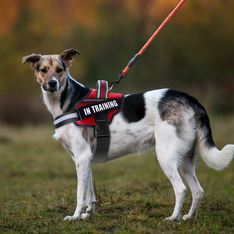 Service Dog Vest Harness and Leash Set, Animire in Training Dog Harness with 10 Dog Patches, Reflective Dog Leash with Soft Padded Handle for Small, Medium, Large, and Extra-large Dogs (RED,S) S Red - BeesActive Australia