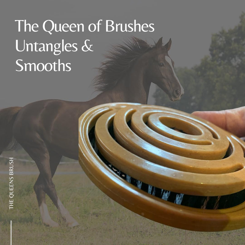 Epona The Queen's Brush Horse Grooming Tool - BeesActive Australia
