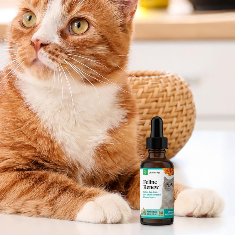 Ultimate Pet Nutrition Feline Renew, Advanced Omega-3 Immune, Joint, and Skin Connective Tissue Support Supplement for Cats, 30 Servings - PawsPlanet Australia