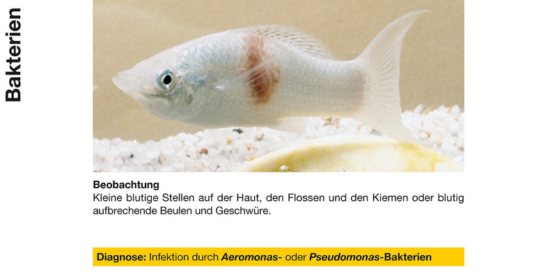 sera baktopur 100 ml - medicine for fish against bacterial infections (e.g. mouth and fin rot), medicine for the aquarium - BeesActive Australia