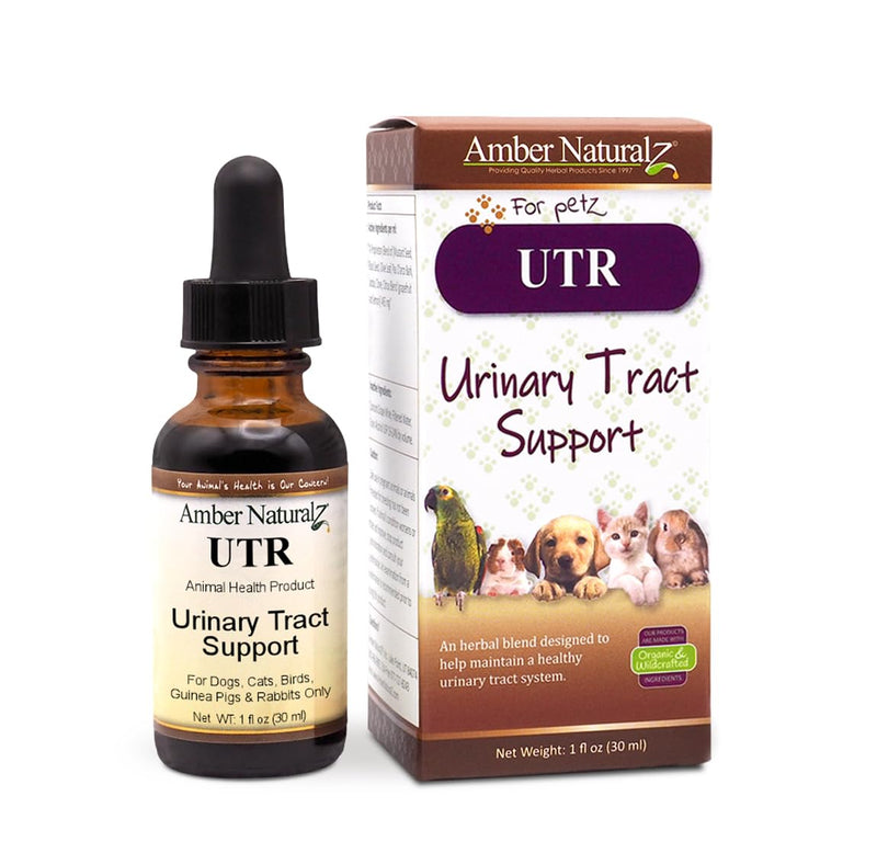 Amber NaturalZ UTR Urinary Tract Herbal Supplement for Dogs, Cats, Birds, Guinea Pigs, and Rabbits | Pet Herbal Supplement for Bladder Support | 1 Fluid Ounce Glass Bottle | Manufactured in The USA 1 Fl Oz (Pack of 1)