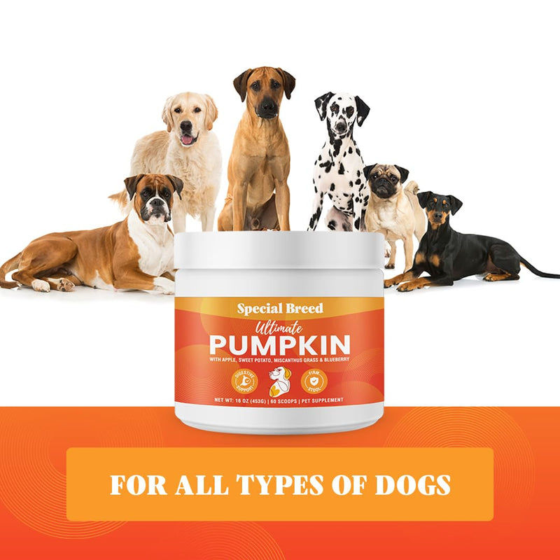 Ultimate Pumpkin for Dogs (16 oz) - with Organic Pumpkin, Apple, Sweet Potato, Miscanthus Grass & Blueberry, Digestive Support Relief for Constipation, Loose Stools, and Upset Stomaches, 60 Scoops - PawsPlanet Australia