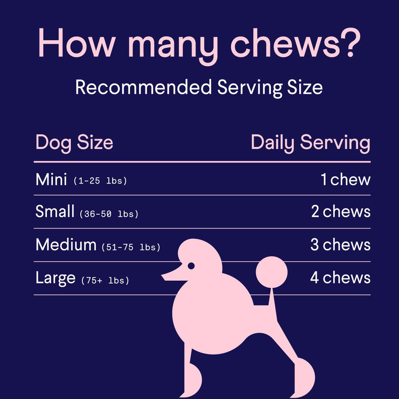 Finn Skin & Coat Salmon Oil Supplement for Dogs | Supports A Thick & Shiny Coat | Fish Oil from Wild Alaskan Salmon, Omega-3s, EPA & DHA, Biotin, & Zinc | 90 Soft Chews - PawsPlanet Australia