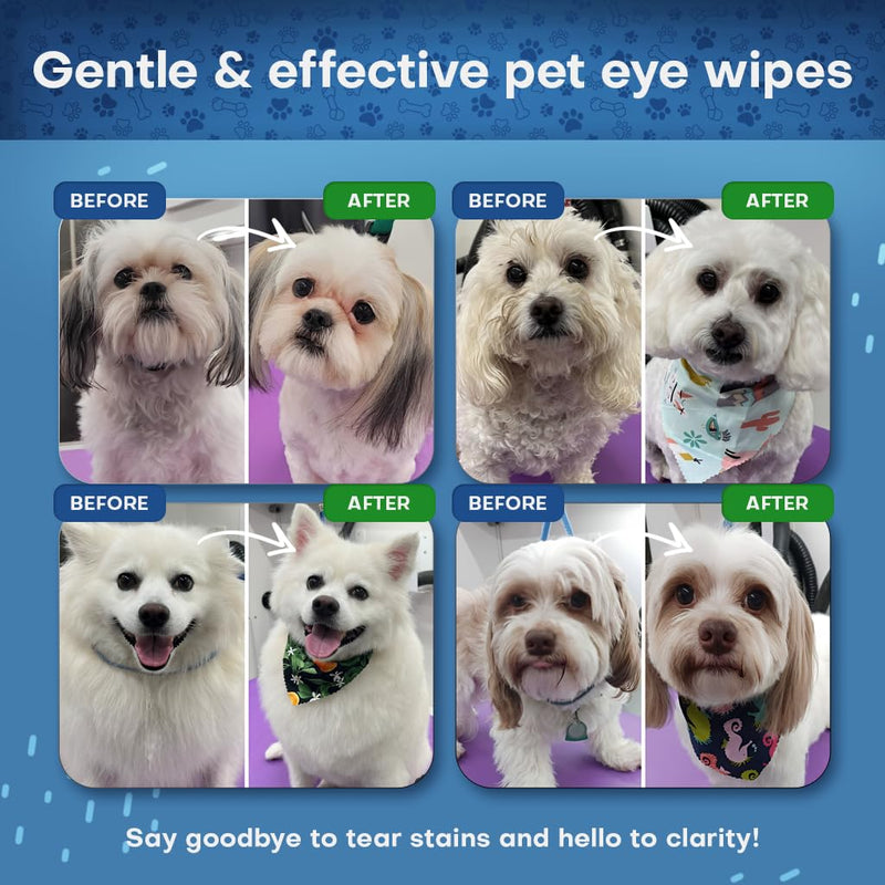 Petazy Tear Stain Remover Wipes for Dogs and Cats - Extra Large 5 x 6 in Hypoallergenic Pet Eye and Face Wipes for Discharge and Crust, Unscented, 50 Count 60 XL EYE WIPES