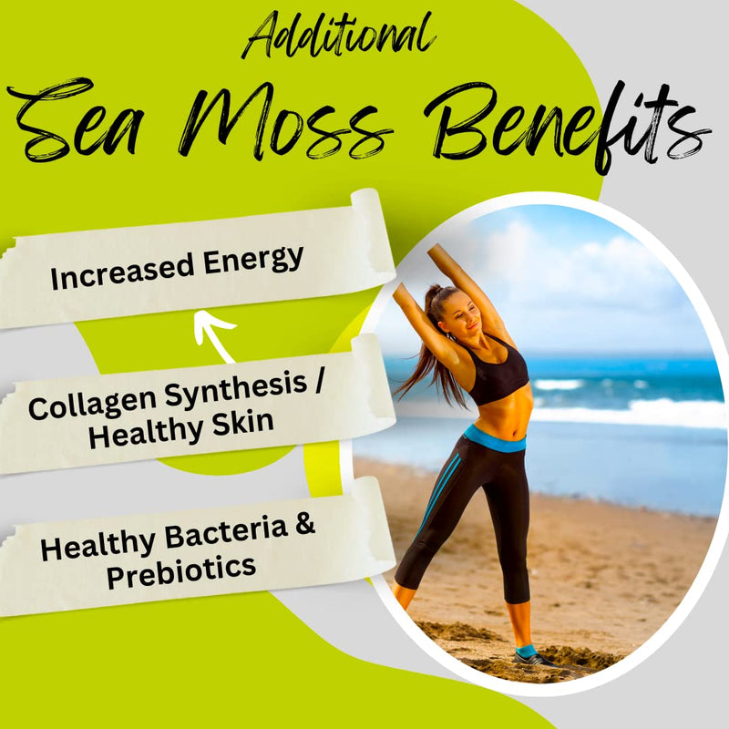Advanced Bionetix Organic Irish Sea Moss Capsules, Raw Wildcrafted Seamoss Enhanced w/Bladderwrack & Burdock Root Capsules 120 Total Pills Antioxidant Packed. Prebiotic Superfood, Thyroid Support 120 Count (Pack of 1)