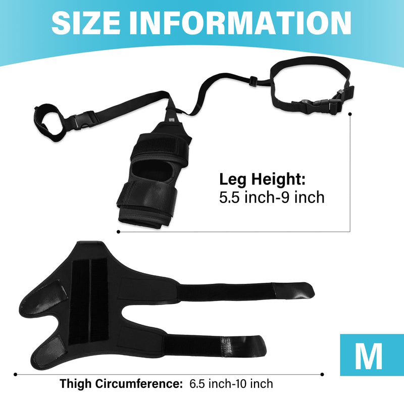 Dog Knee Leg Brace - Dog Knee Brace for Torn ACL Hind Leg, Dog Leg Braces for Back Leg & Front Leg, ACL Tear Leg Support, Comfortable and Adjustable, Size M Black(Dog Leg Brace) - BeesActive Australia