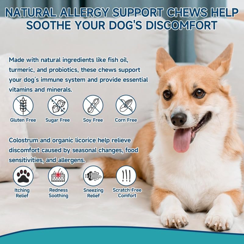 Dog Allergy Chews for Dog Itching Skin Relief, 200 Dog Allergy Relief Treats with Probiotics for Dogs, Immune Support & Skin Relief for Seasonal Allergies, Gut & Digestive Health, Chicken Flavor