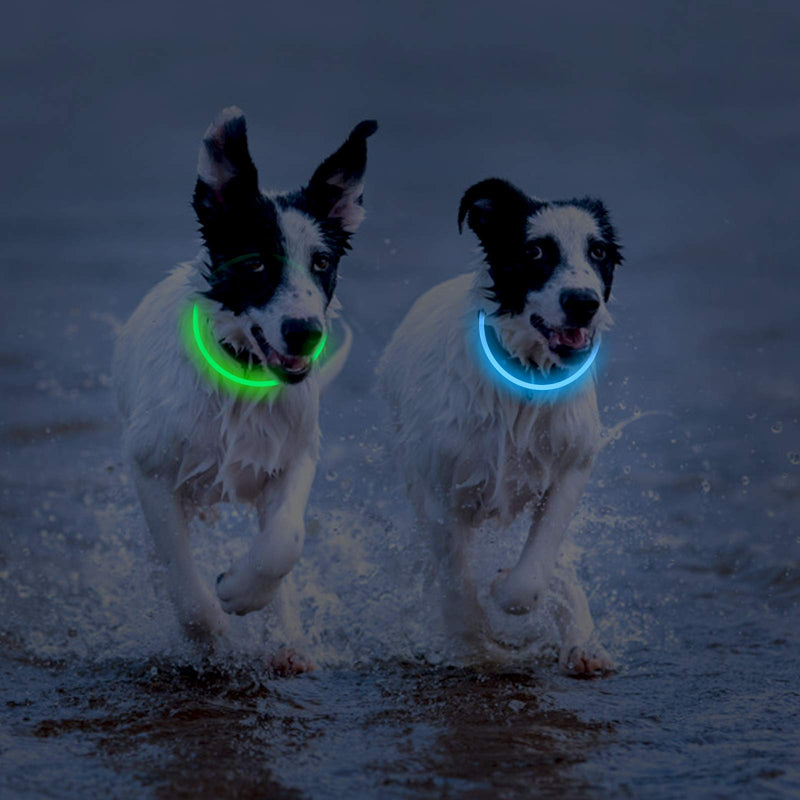 2-Pack LED Dog Collar, Light Up Dog Collars,Rechargeable Dog Lights for Night Walking，Universal, Reusable Safety Necklace for Small Medium Large Dogs Green&Blue - BeesActive Australia
