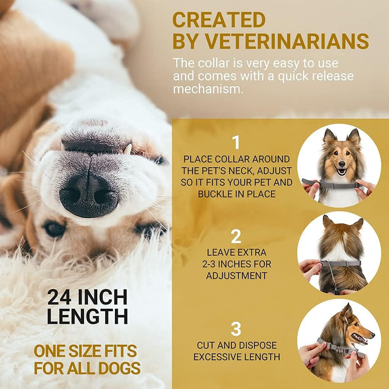 Flea Collar for Dogs 2 Pack Natural Flea and Tick Collar for Dogs 8 Month Prevention Puppys Collars 24 Inch Adjustable Large Collars - BeesActive Australia