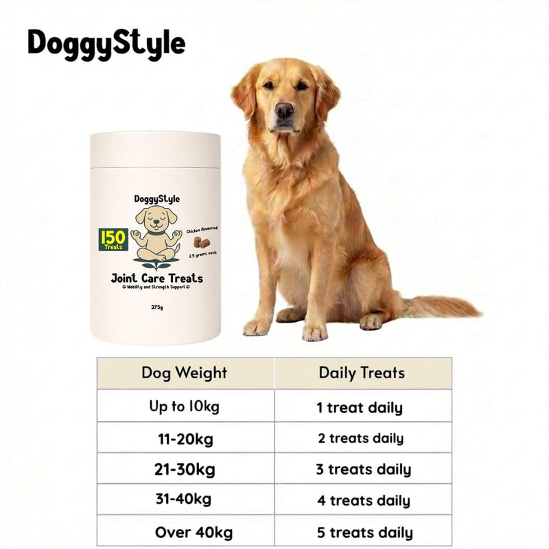 150 DoggyStyle Joint Care Treats for Dogs - Hip & Joint Support Soft Chews with Glucosamine, Chondroitin, MSM, Green Lipped Mussel, Collagen & Turmeric - Mobility Support for All Breeds & Ages