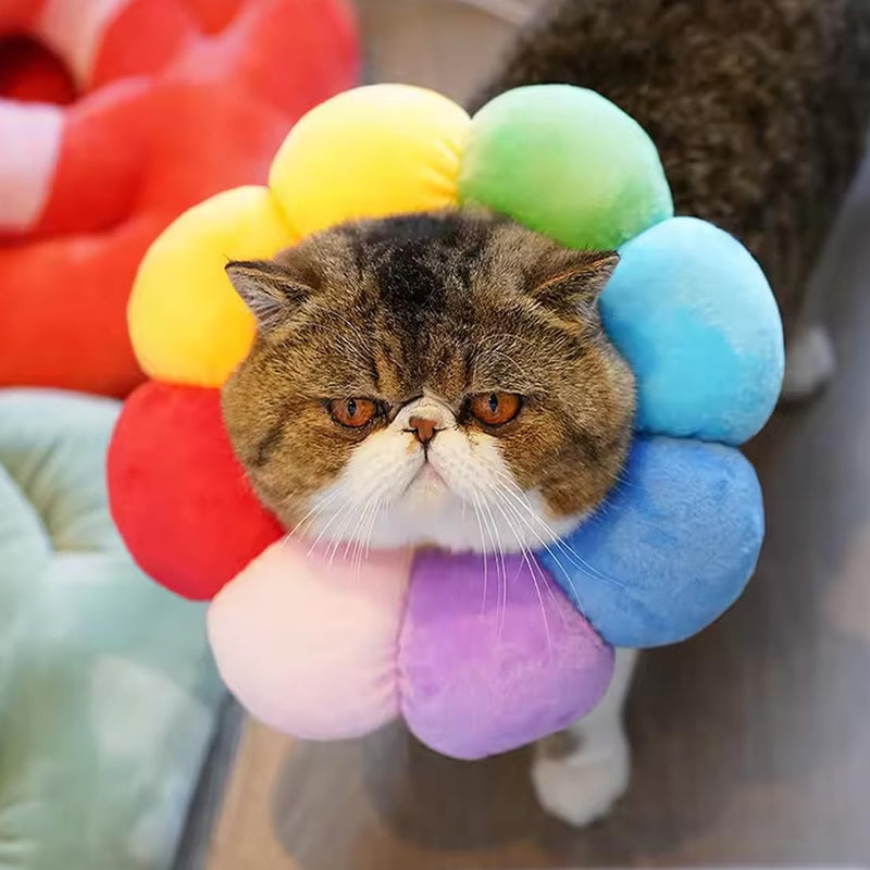 EIOURVY Cat Collar, Adjustable Collar, Cat Collar, Soft Cat Recovery Collar, Suitable for Cats and Small Dogs to Prevent Bites and Scratches - BeesActive Australia