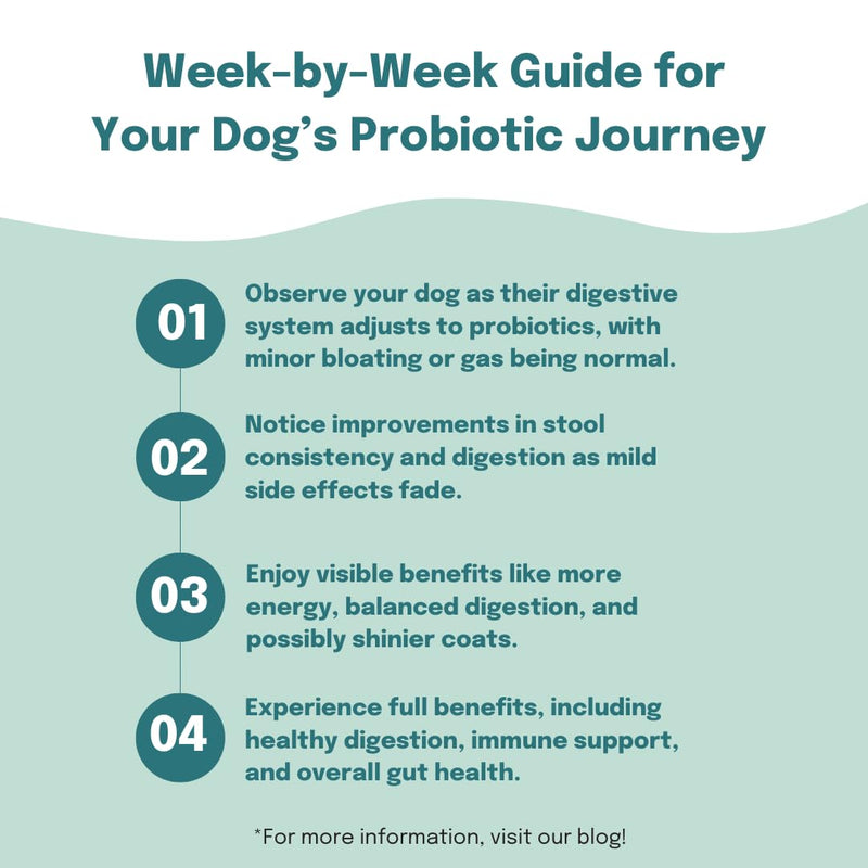 Buddy & Lola Probiotics For Dogs - Daily Dog Probiotic Chews For Digestive Health - Beneficial Prebiotics, Probiotics & Fibre For Better Gut, Firm Stools, Less itching - Plant Based Chews For Dogs 120 Soft Chews (1 Tub)