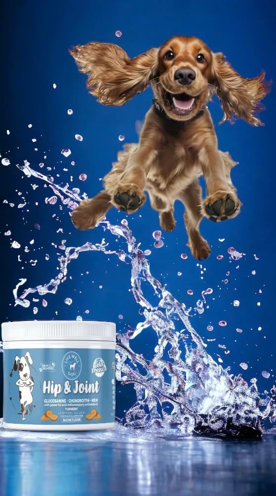 Hip & Joint Chew for Dogs - Now with Turmeric and Black Pepper - Pet Products with Glucosamine, Chondroitin, & MSM + Vitamins C and E for Dog Joint Relief – 120 Count - PawsPlanet Australia