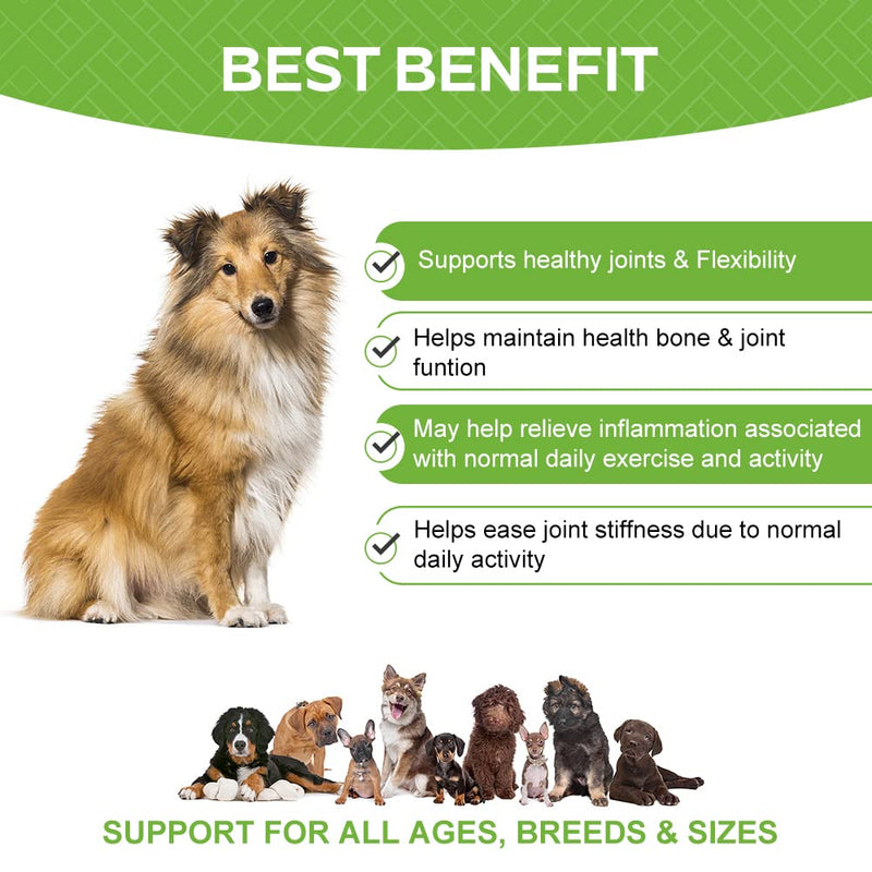 Green Lipped Mussel for dogs ALL in ONE Joint Care Supplements Hip & Joint aid 100 Tasty DAILY Chews Glucosmine Chondoitin MSM Curcumin PUPPY- ADULT-SENIOR - Chicken Flavor joint supplements for dogs