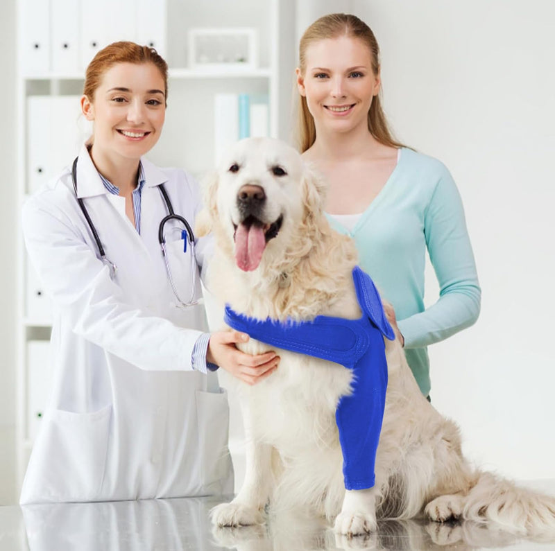 Recovery Sleeve Dog, Elbow Pads for Dogs, Elbow Brace Protector, Dog Surgery Recovery Sleeves Front Right Left Leg for Hot Spots, Wounds, Bandages, Anti Licking for Dogs, Blue L - BeesActive Australia