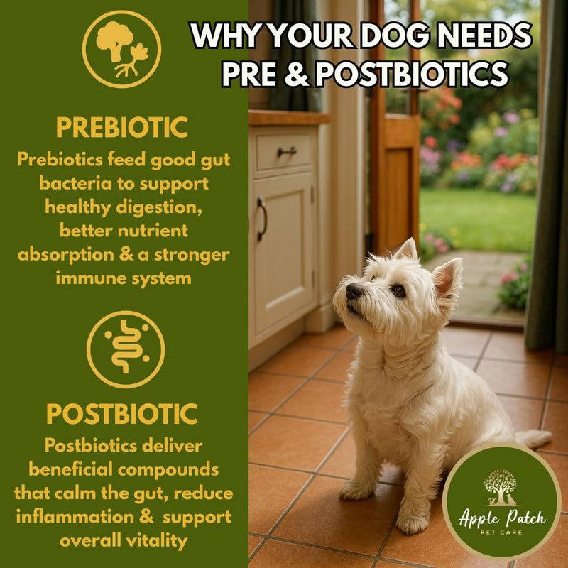Premium Dog Multivitamin Soft Chews – Complete All-in-One Supplement for Joint, Skin, Coat, Digestion, Heart, Brain & Immune Health - Natural Ingredients - Full Wellbeing Support