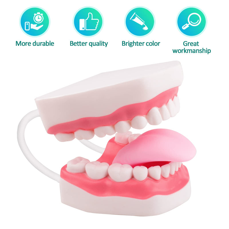 Ultrassist Mouth Model White Hinge for Speech Therapy, Ideal Brushing Teaching Dental Teeth Model for Kids and Children, 6 Times Enlarge, Includes Toothbrush - BeesActive Australia
