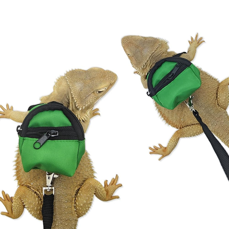 Bearded Dragons Harness Leashes Set Cute Backpack Back to School Design for Small Pets Reptile Lizard Crested Gecko Chameleon Rat Hamster Squrriel Ferret Photo Shoot (Green) Green - BeesActive Australia