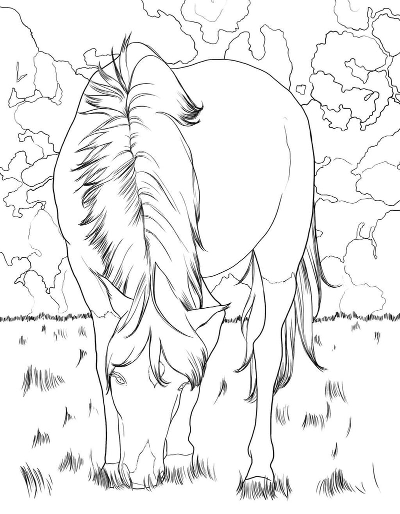 Horse Coloring Book: For Kids Ages 9-12 (Young Dreamers Coloring Books) - BeesActive Australia