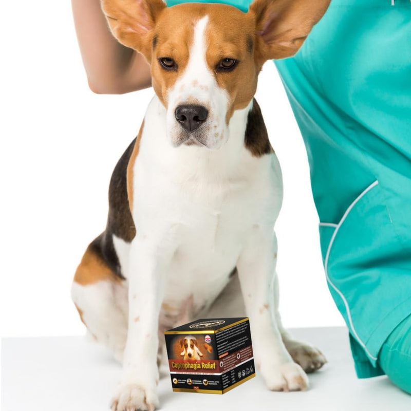 dog coprophagia relief – 100% natural ingredients coprophagia deterrent for dogs – 60 coprophagia soft chews to stop stool eating (Chicken) Chicken