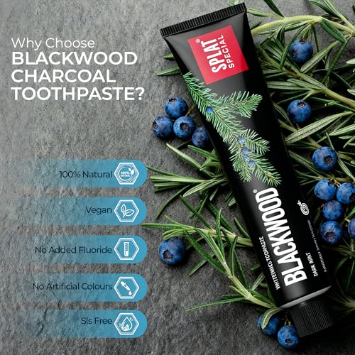 SPLAT Blackwood Charcoal Toothpaste, Fluoride-Free, 2.5 fl oz
