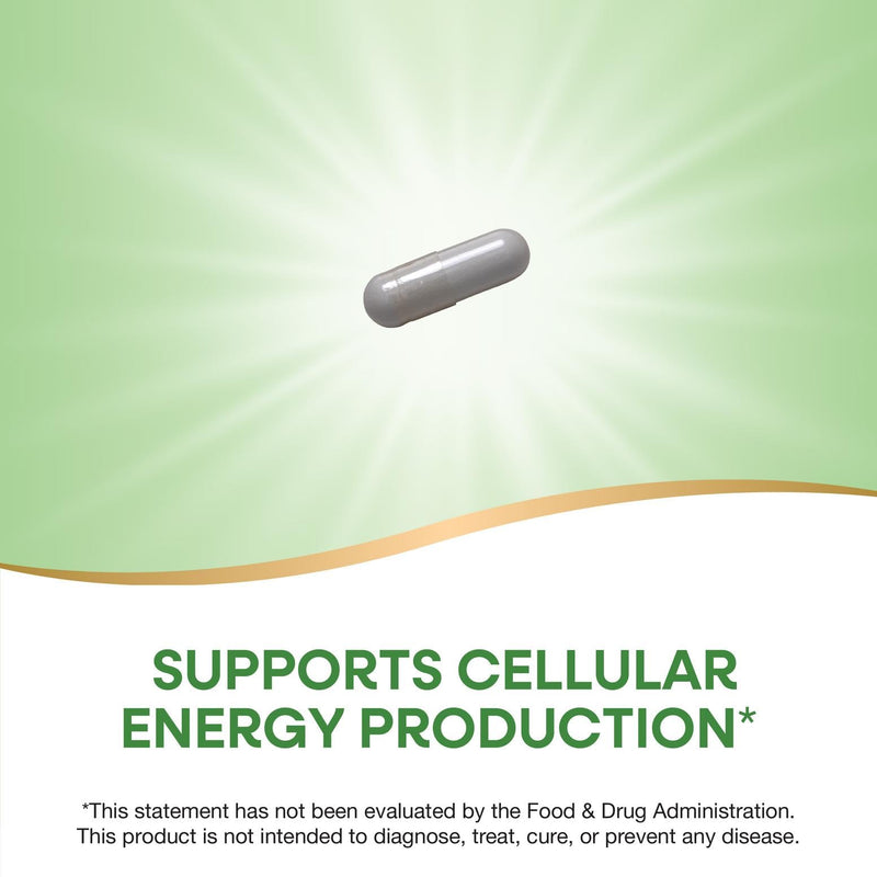 Nature's Way Niacinamide - Niacinamide Capsules with Non-Flushing Vitamin B3 - Supports Cellular Energy* - 500mg per Serving - Gluten-Free & Vegan - 100 Count (100 Servings) Unflavored 100 Count (Pack of 1)