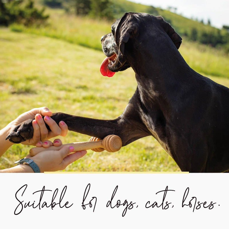 tuuli wooden massager for animals, massage roller for dogs, cats, horses, massage brush, short hair or long hair - BeesActive Australia