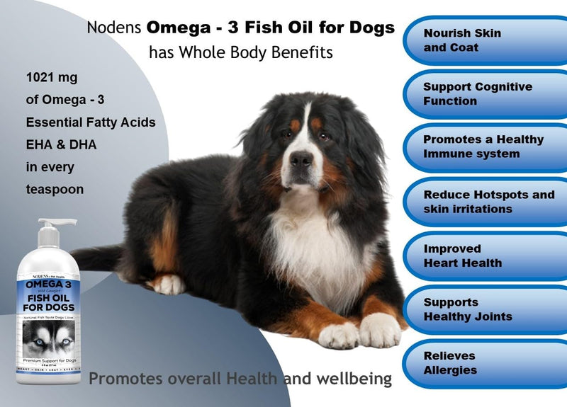 Fish Oil for Dogs Natural Omega 3 Fish Oil Liquid, Dog Skin & Coat Supplement - Dog Fish Oil Supplement for Shedding, Allergy & Itch Relief - Omega 3 Fish Oil Dogs Joints, Immune Support & Digestion - PawsPlanet Australia