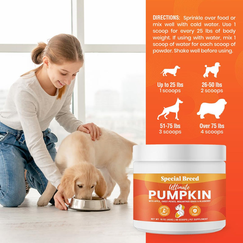 Ultimate Pumpkin for Dogs (16 oz) - with Organic Pumpkin, Apple, Sweet Potato, Miscanthus Grass & Blueberry, Digestive Support Relief for Constipation, Loose Stools, and Upset Stomaches, 60 Scoops - PawsPlanet Australia