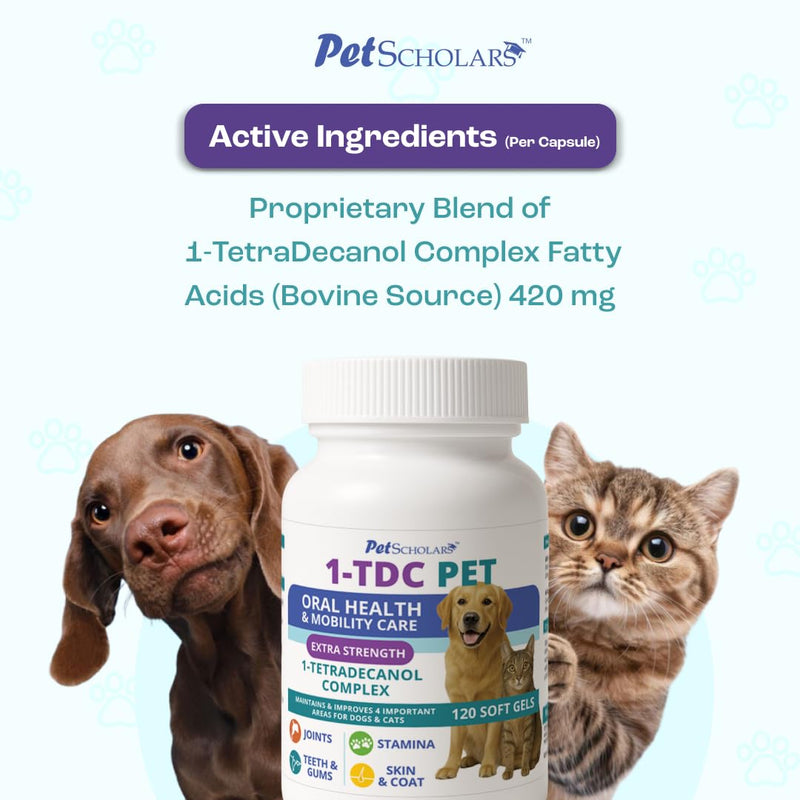 1TDC Dental & Joint Health Softgel Supplement for Dogs & Cats, Supports Oral Health, Stamina, Mobility, Muscle Strength & Recovery, Maintains Skin & Coat Health of Pets (120 Soft Gels) 120 Soft Gels