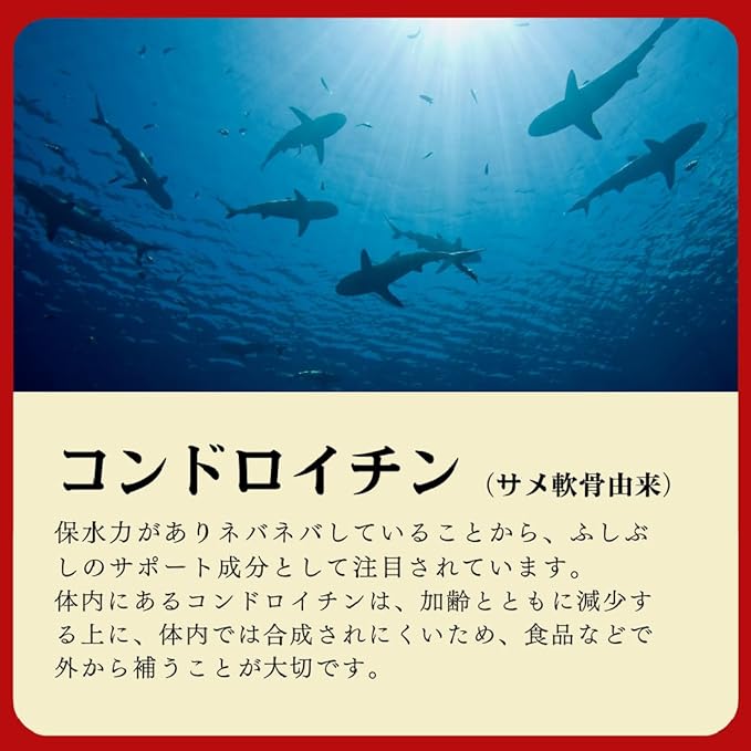 Glucosamine Chondroitin Supplement (Tablets Made in Japan, Approx. 1 month supply, 120 tablets) Supplement Kobo Toyama [Planbear] - BeesActive Australia