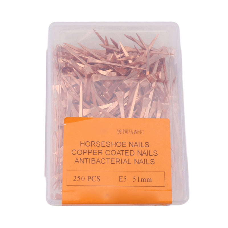 250Pcs Horseshoe Nails Copper Plated Rustproof Equestrian Riding Equipment Pet Supplies (51mm E5) 51mm E5 - BeesActive Australia